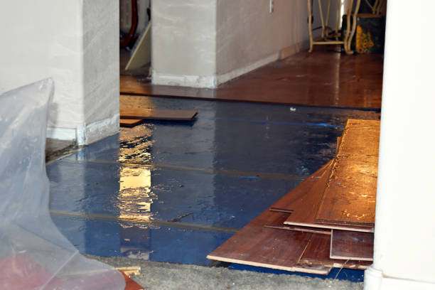 Professional Burst Pipe Cleanup technician working in Spencer, MA